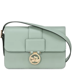 Longchamp Box-Trot M Crossbody Bag Green-gray - Leather